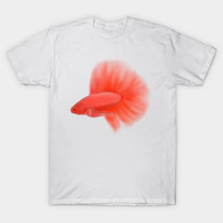 Betta Fish Red T-Shirt